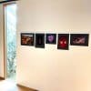 Photo of an ArtiTeq Info Rail mounted on a white wall displaying five photos, elegantly arranged in a minimalistic and modern setting.
