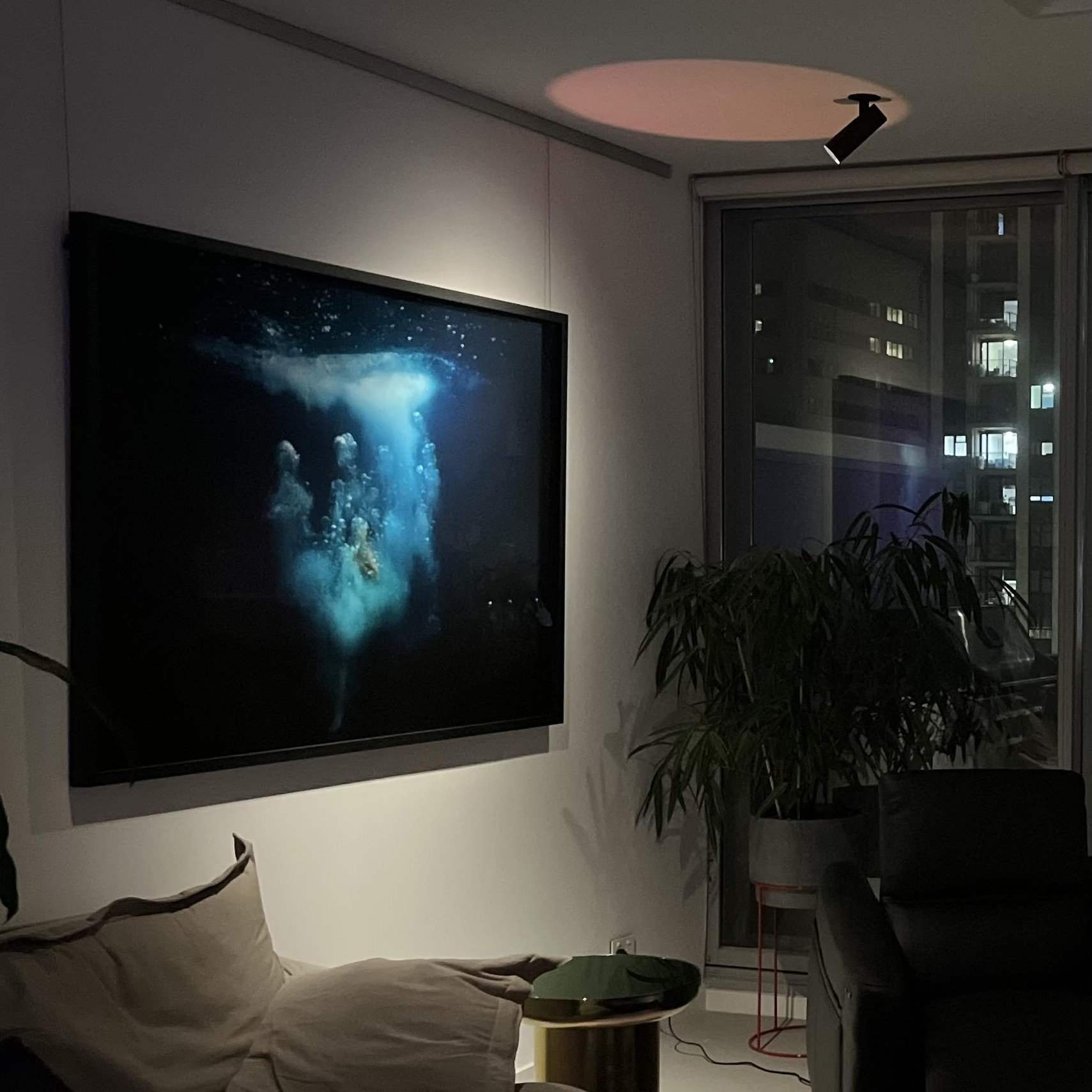 Large underwater photo lit at night, hung on clear wires from brushed aluminium Click Rail Pro rail in living room