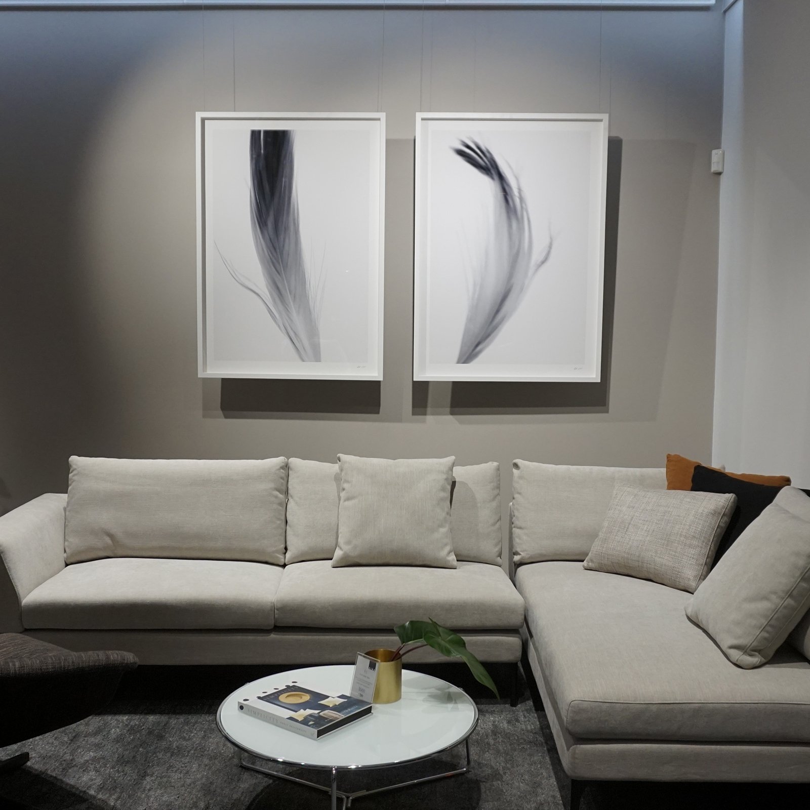 Two framed feather prints above grey sectional sofa hung on clear wires from ArtiTeq Top Rail ceiling picture rail